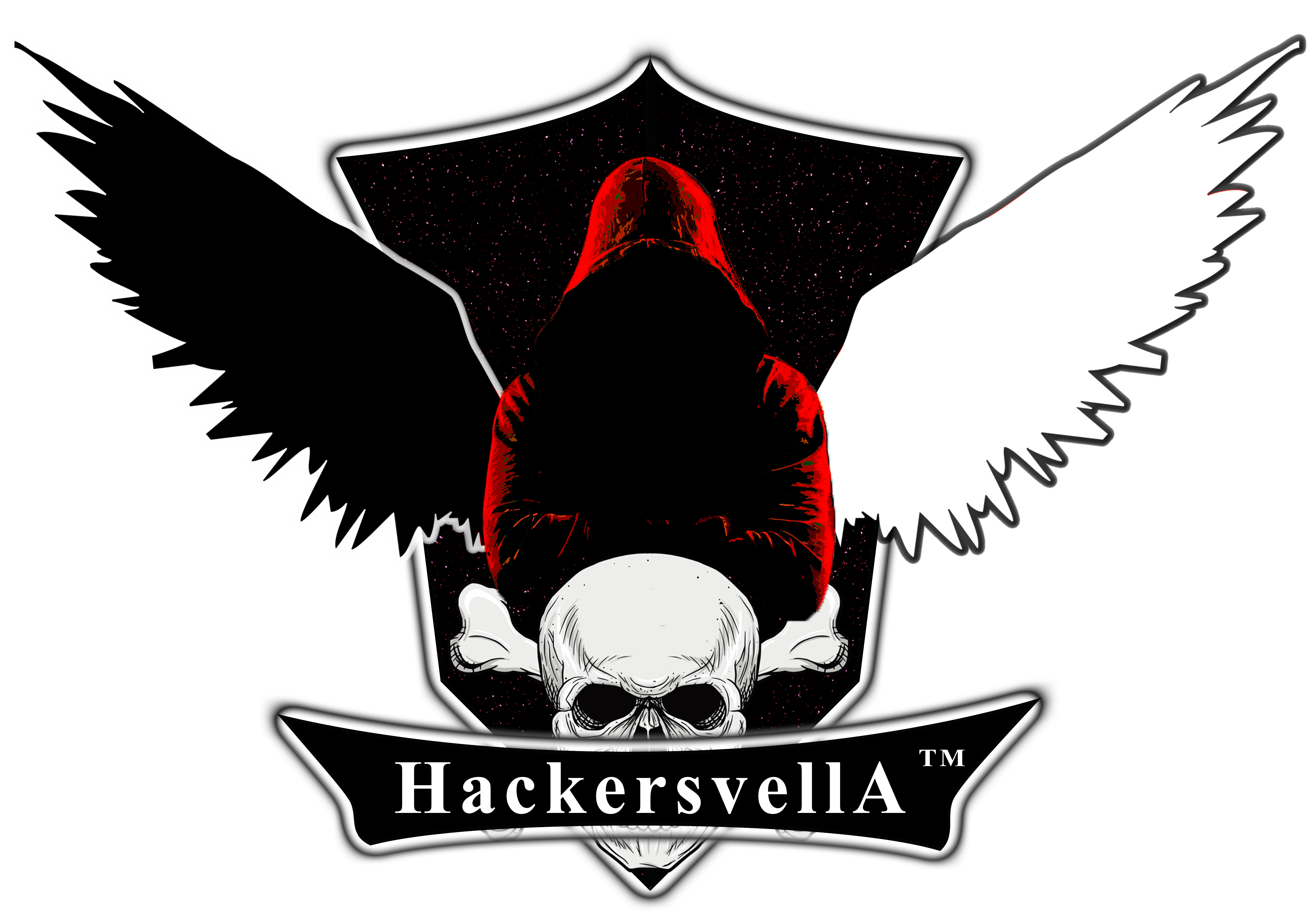 Cybersecurity Professionals